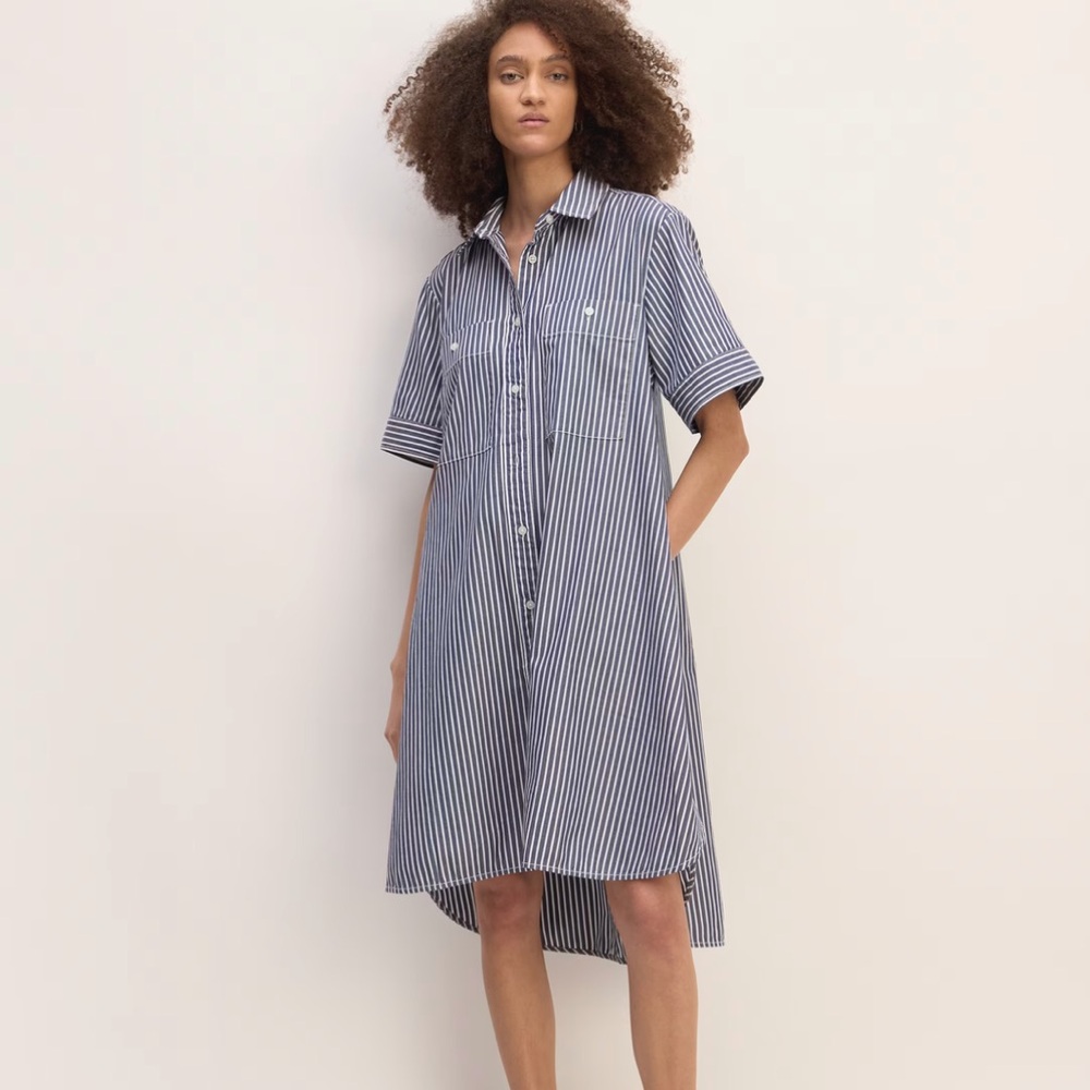 Everlane Daytripper shirt dress